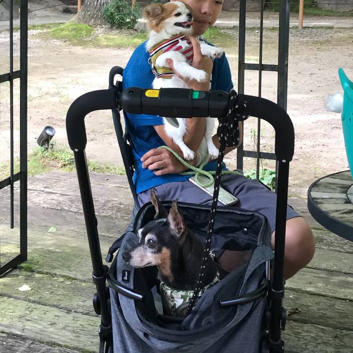 8b746d00 af35 4585 9601 856b0753f9a8 1567256442885