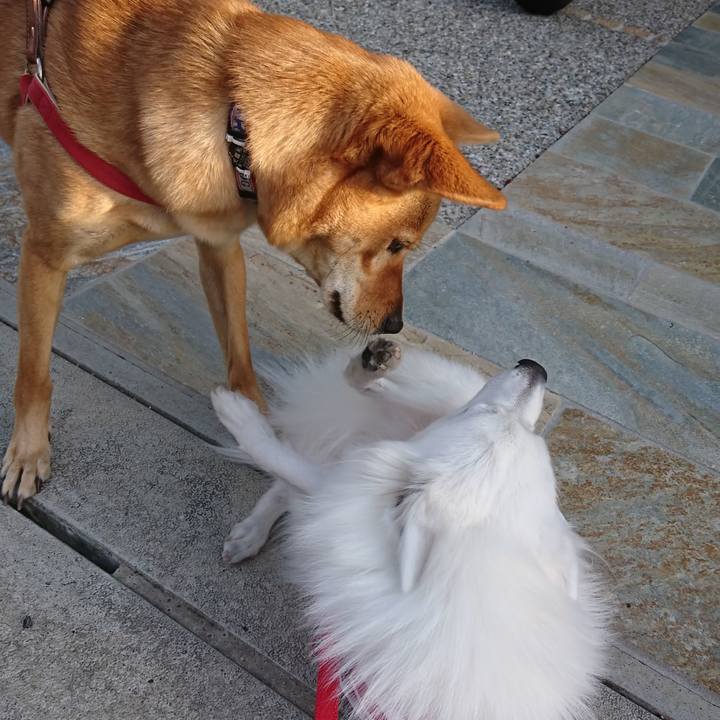 8b746f46 8998 4137 ba90 ad21d92cf5dc 1541056440752