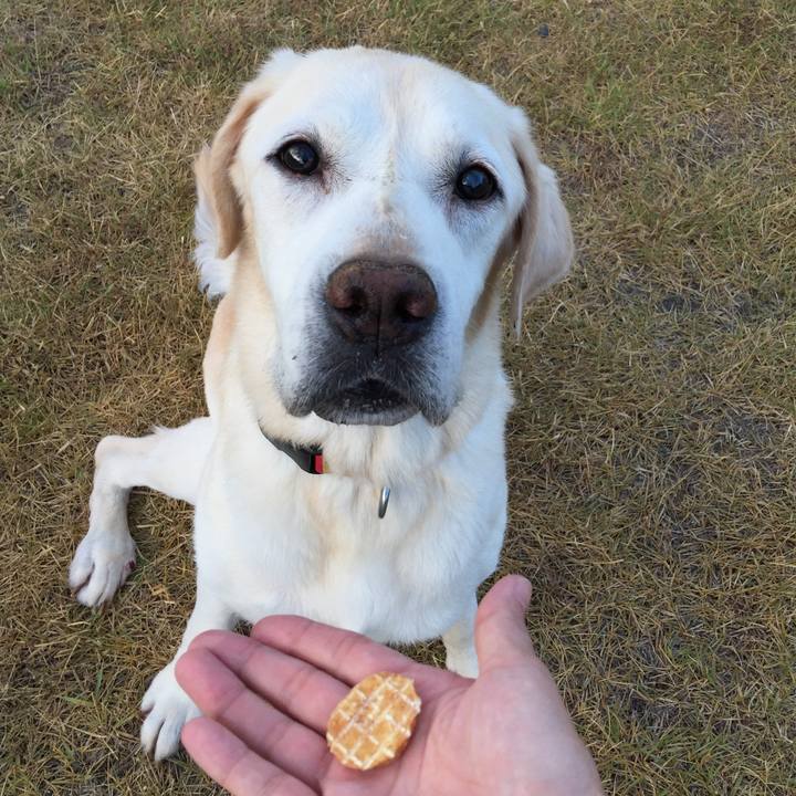 8b748701 2be0 43f7 9c47 835b872d35e8 1533723325326