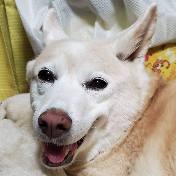 8b748f46 8556 4e69 a00b 31765bf9bcb3 1683559249021