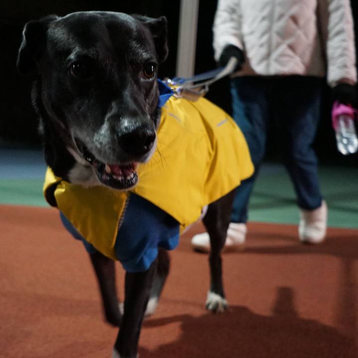 8b74dfc4 c304 474c 829b 4165852175d3 1765536810086