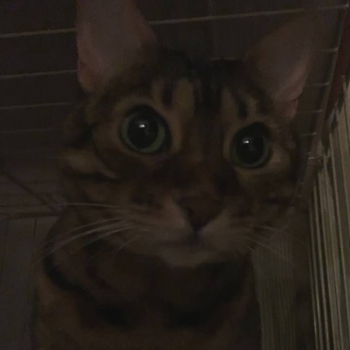 8b74f13c 1029 4ff6 9380 8df372b12053 1604531337192