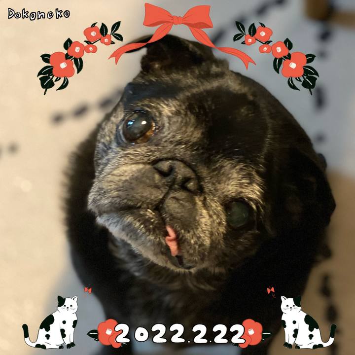 8b752a3a ebe5 4c36 b2b6 099274990702 1645531767784