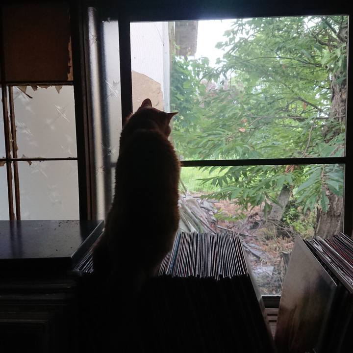 8b752f56 191f 44bc b27e 025038680dcf 1660513015045