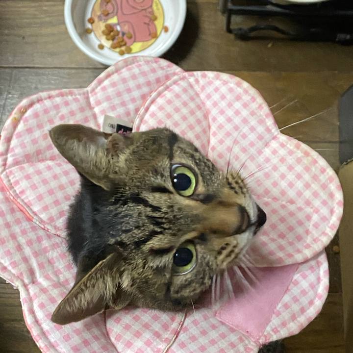 8b753f16 8390 4583 be81 dee0e155cb29 1638605814883