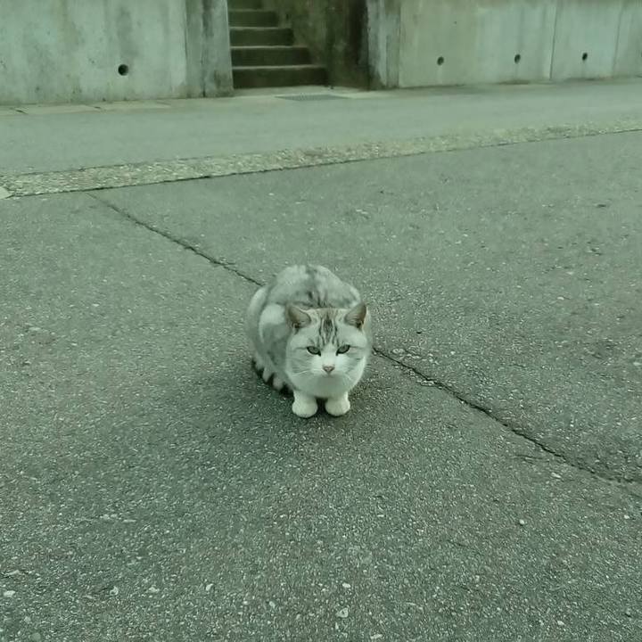 8b754882 d113 4001 8a75 5b22205e6837 1542370909171