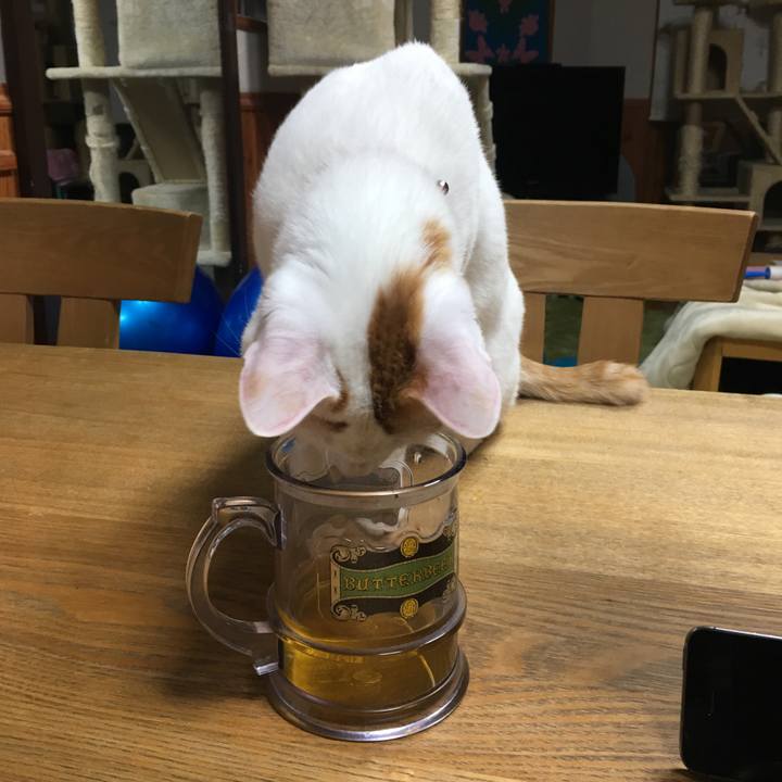 8b755084 2ba5 45b5 962a b1bc8a769978 1548083653184