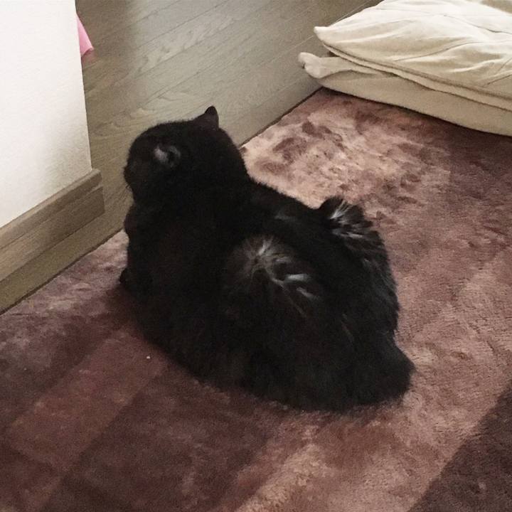 8b755888 1e10 4abf 9dc9 f0da15d1ce1c 1584163184081