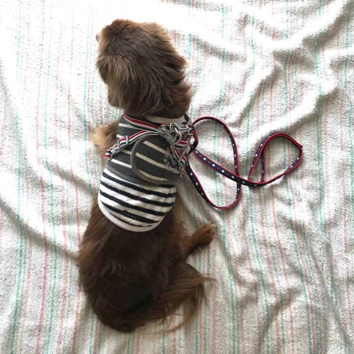 8b756440 63cd 4b9d ab57 9eff5b00b7d8 1536361757466