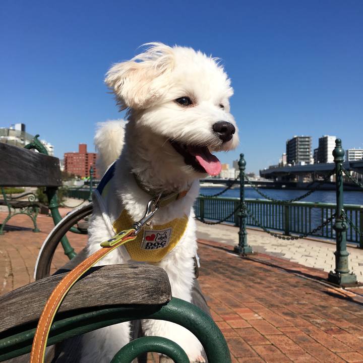 8b757429 be48 4bca bf77 088a194458f3 1540784245406