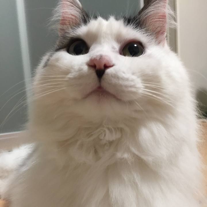 8b758020 ffaf 4414 82ee b252dc79bf58 1512656253298