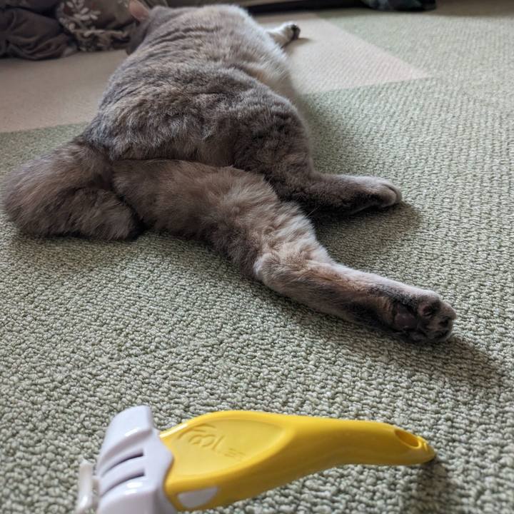 8b75bd51 6739 4535 ab94 800d6f4686fb 1709005160346