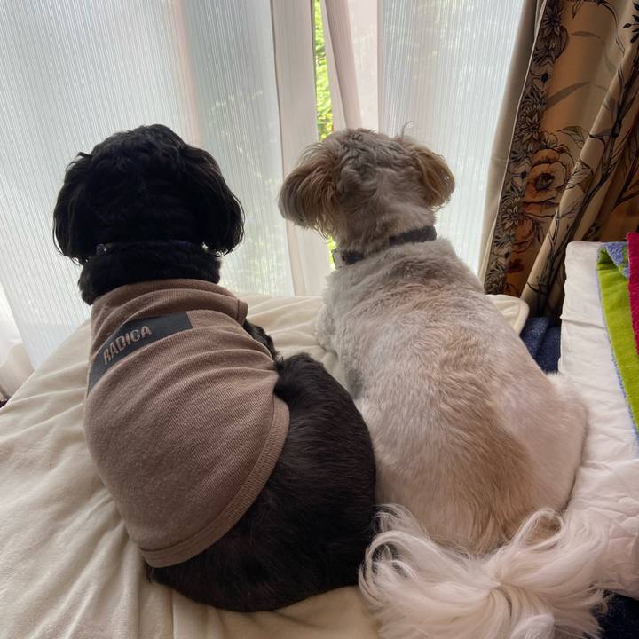 8b762fba f23f 49d1 b50b 760d61a988bb 1684905647942