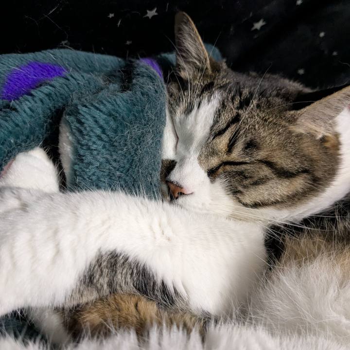 8b764a15 dd5f 4e1e bd93 ced9dcbe73ae 1748137424849