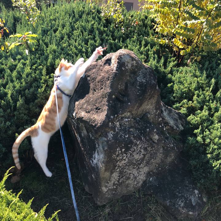 8b765734 ddf5 4201 9d1c 4c9cc76ce56f 1541222676527