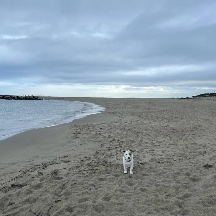 8b769012 cde2 41bd 9a39 a910b7525c80 1616971357780