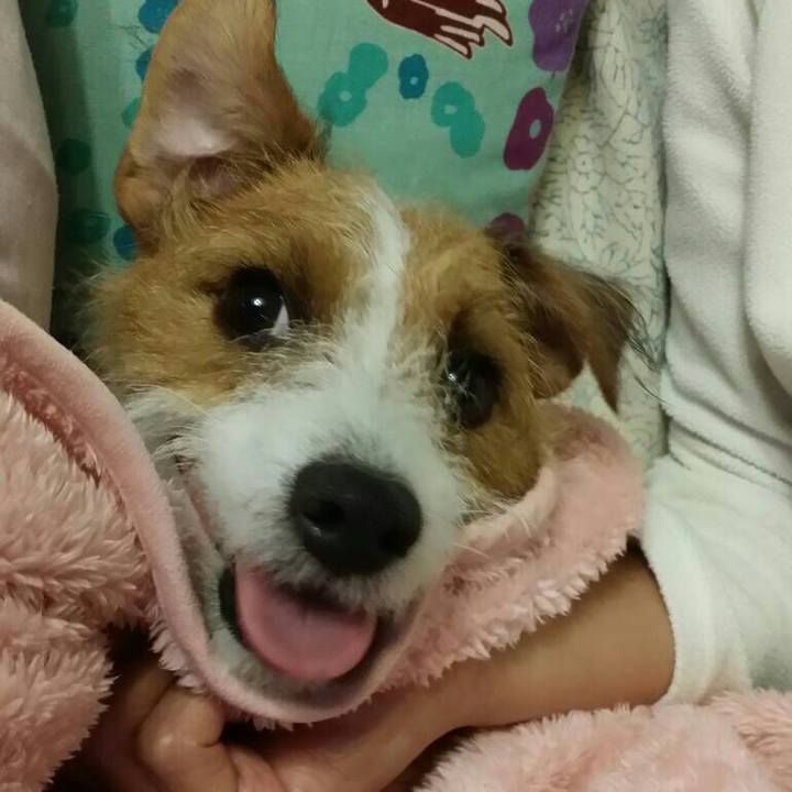 8b76a2aa e30b 4432 b102 69942fb548e4 1539804945522