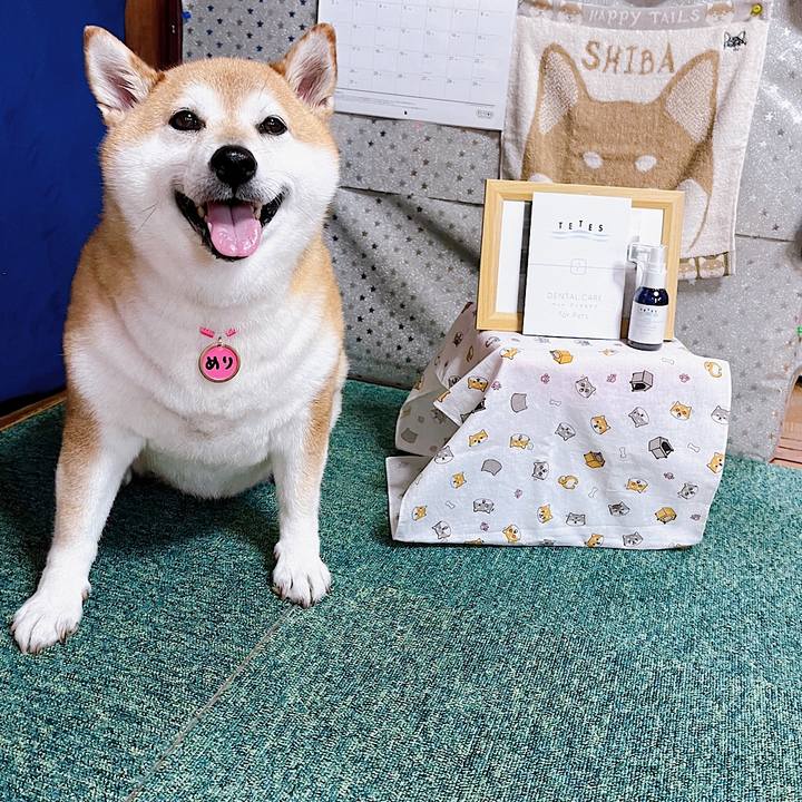 8b76a304 98c0 49d2 982d 817e2bc52891 1688815076774