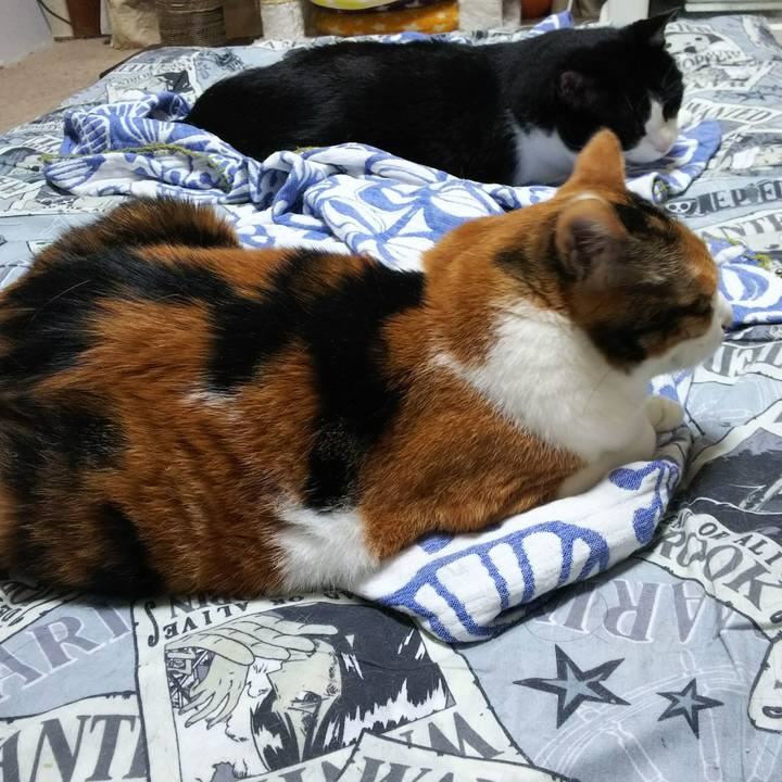 8b76cd43 111b 4fcc b0c9 c2031d6928ca 1530195966299