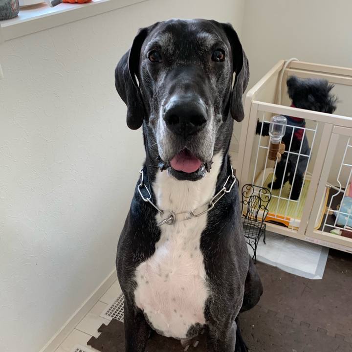 8b76fb44 17fb 49a2 bf45 224d8f326384 1552787455630