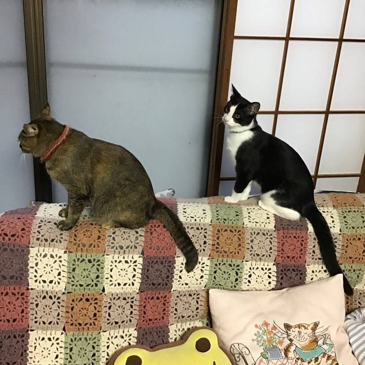 8b7701ad 5d29 4bc4 961b 918a66befa73 1634028846679