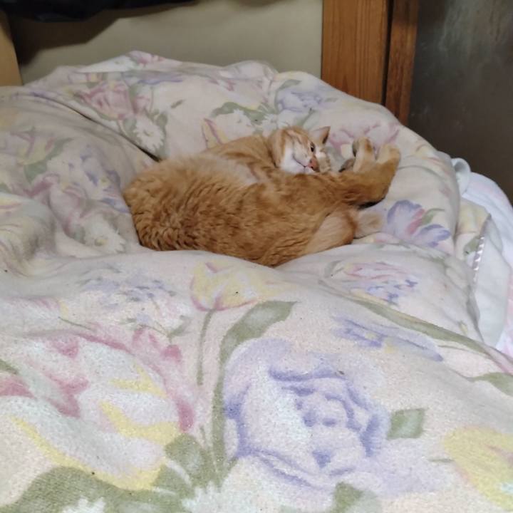 8b775c1f 62c4 4065 b0a0 d2e1b25a8bf1 1712926346319