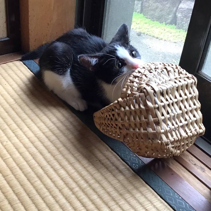 8b77bc98 f1e4 4b9d 97f2 722f50843df0 1625726222235