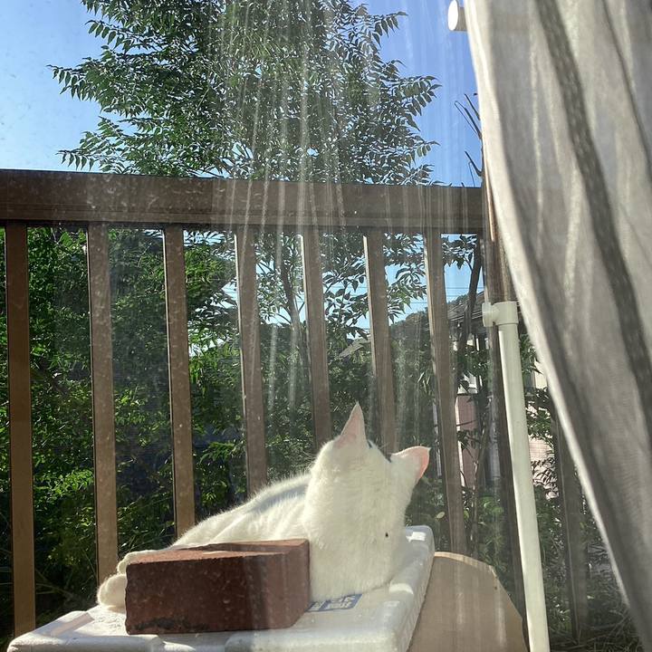 8b77cb54 554f 491a 9dea 4e9464f21e26 1728960802036