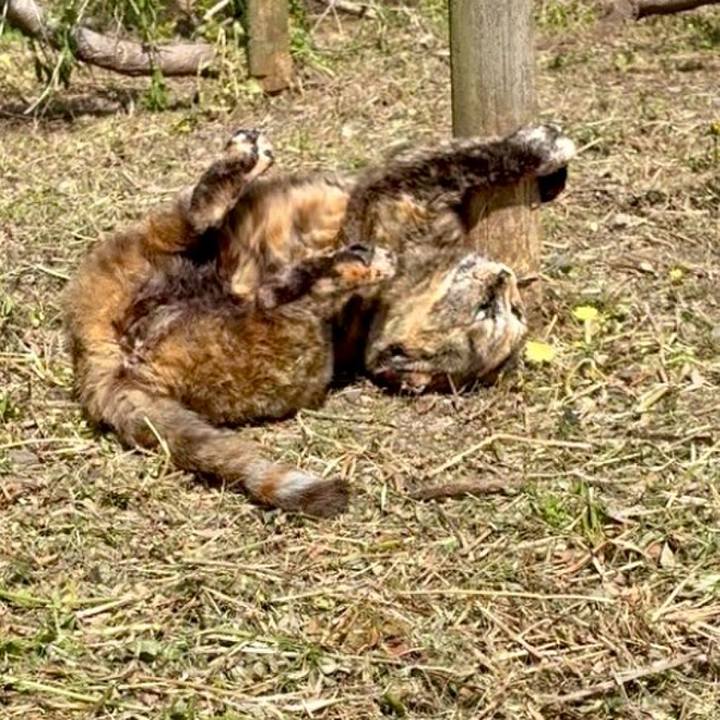 8b77d8bb 4371 4806 b628 26786f010f8a 1774235803246