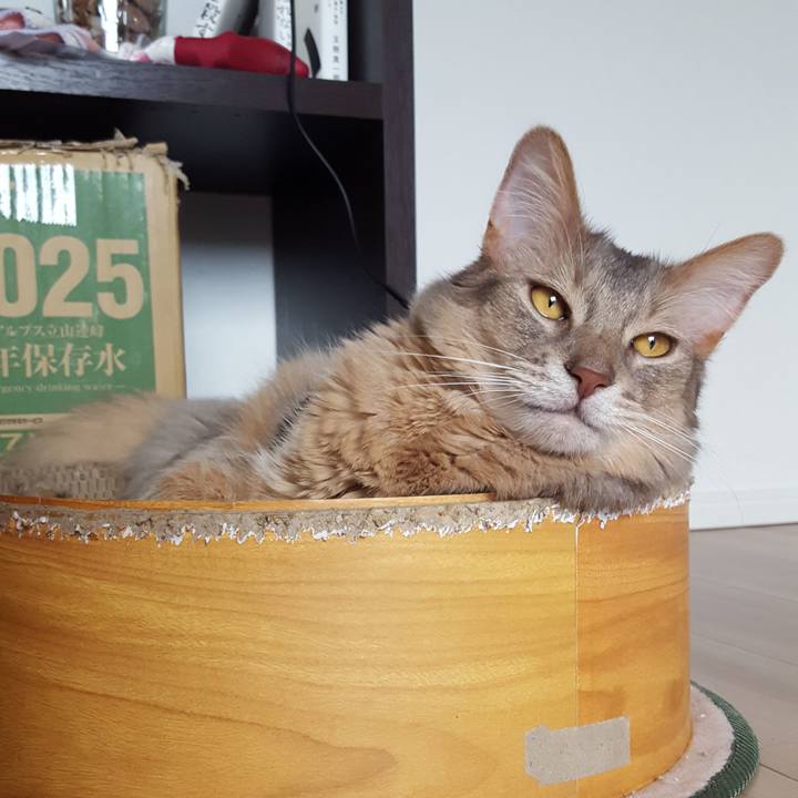 8b77f6b4 08bc 41da af02 4d5edb47cbfc 1588589418794