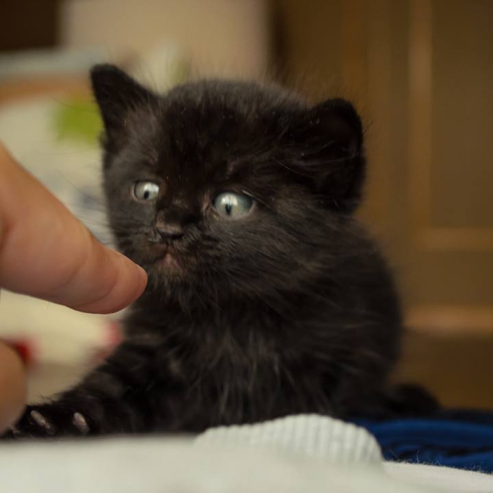 8b782c41 1cd1 4845 bbad 7831baa82ab5 1550799138380