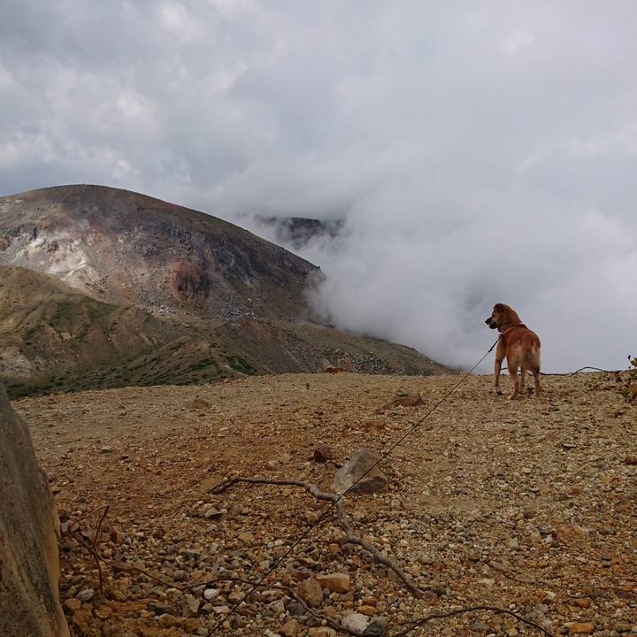 8b787dc1 575f 4a7d b6da 96af27206e50 1601212790039