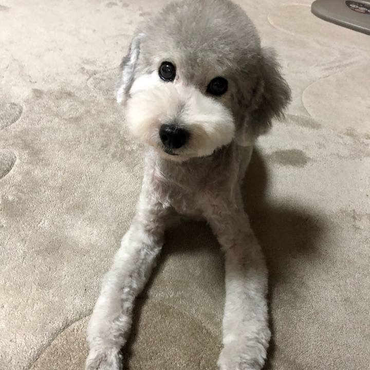 8b7889bd 2c25 4327 acdb 113fe48d510a 1528508041700