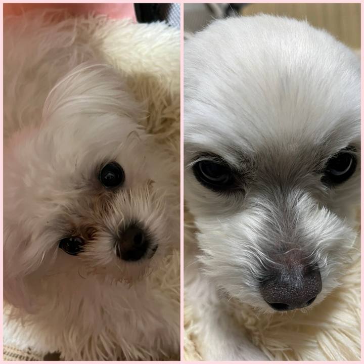 8b789e22 d52d 4a45 b7b5 c655888ee654 1713611079818