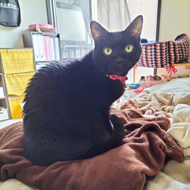 8b789f14 d80a 429f b026 f0f0f1ccde5c 1672453403161