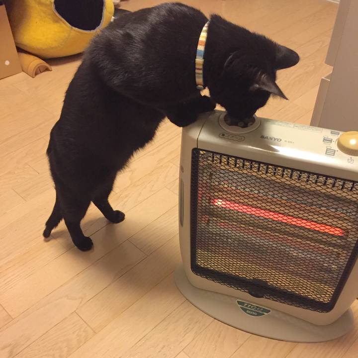 8b78b0ce 7ead 4c9a 9778 19bbb08212e4 1511956163956