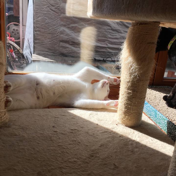 8b790750 b63b 41b2 b0e4 63cd8435fdb7 1520123501932