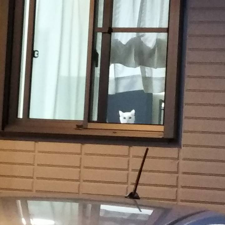 8b793dd3 1751 40b3 9cd2 b7308cca2738 1640299628668