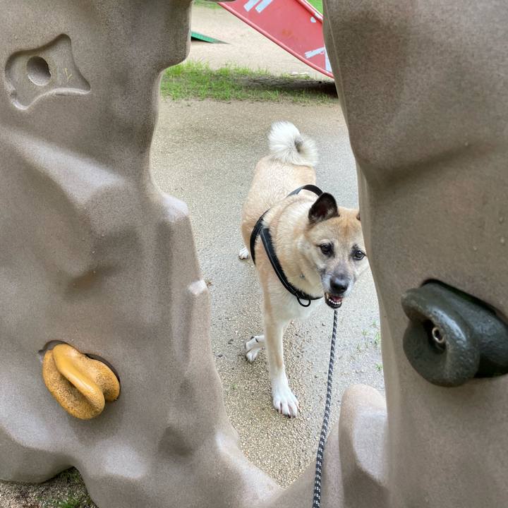 8b7948b1 4f4a 4029 8415 3d347131523a 1721046127542