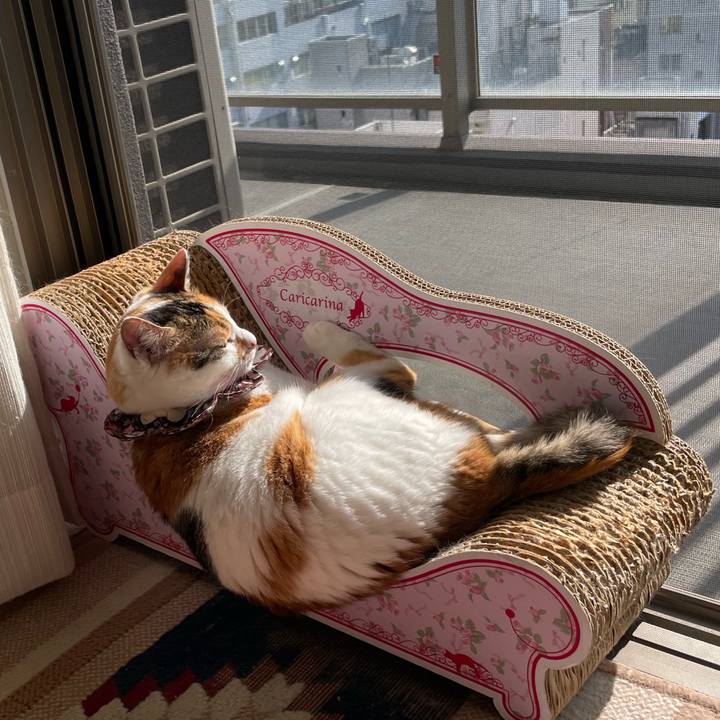 8b79687f d591 400c afe3 988976e28b3f 1746258554325