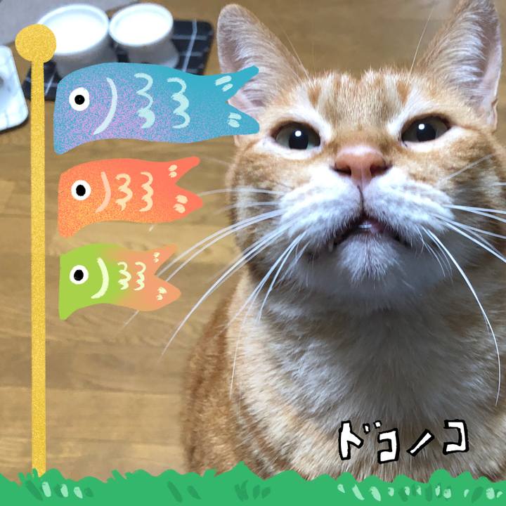 8b7971b4 c98e 4e12 b336 fd8bbd88c3f5 1714992637435