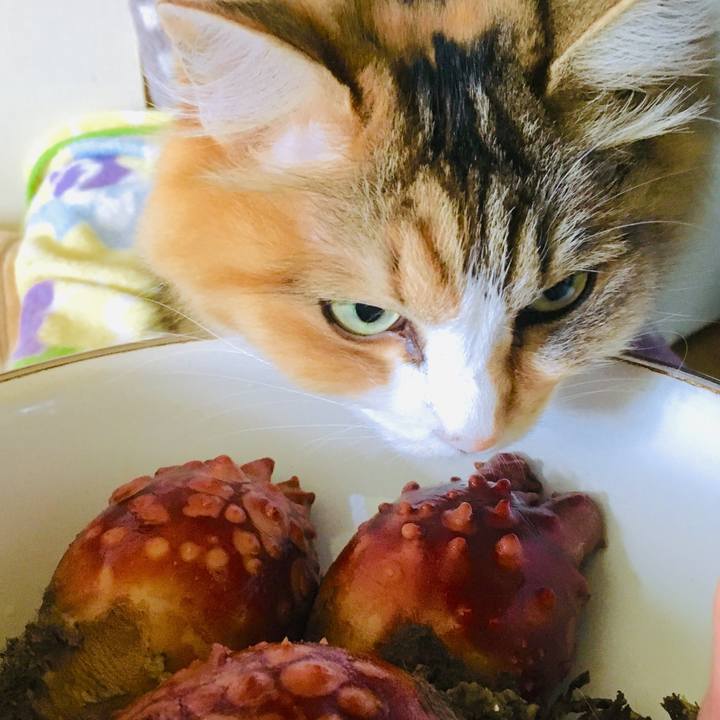 8b7981bd 088f 4a17 9ff6 975c1c5fb325 1561431316628