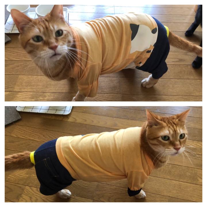 8b79a265 e41d 4328 b7c3 65fe051c9da6 1719644791045