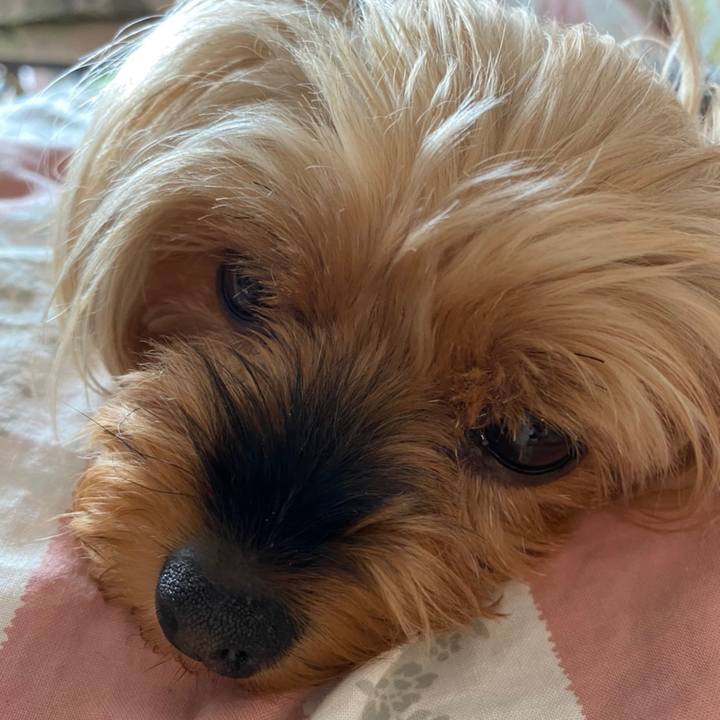 8b79d43c cafb 445e 87bb 5661e06c7d8e 1657499425571