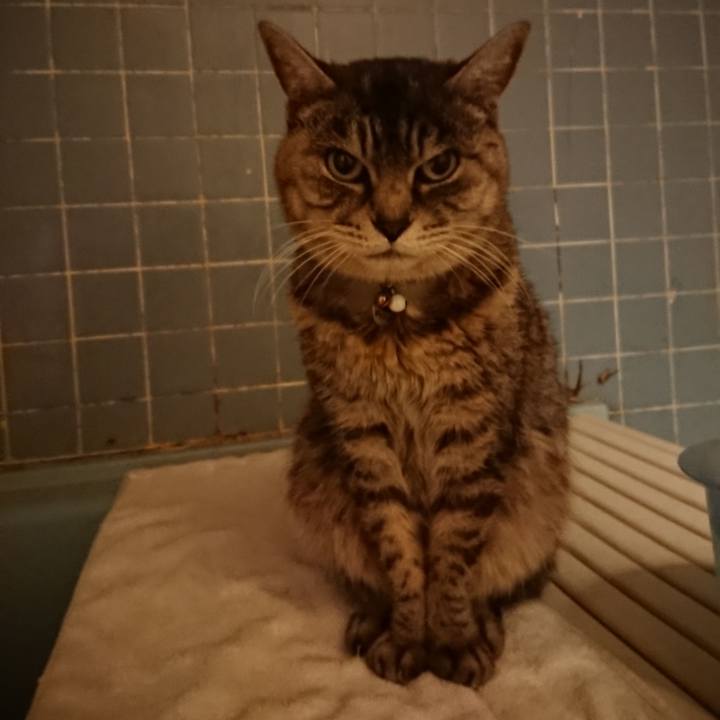 8b79d8ee 0540 4d7d 95ed 47b474118957 1576575669189