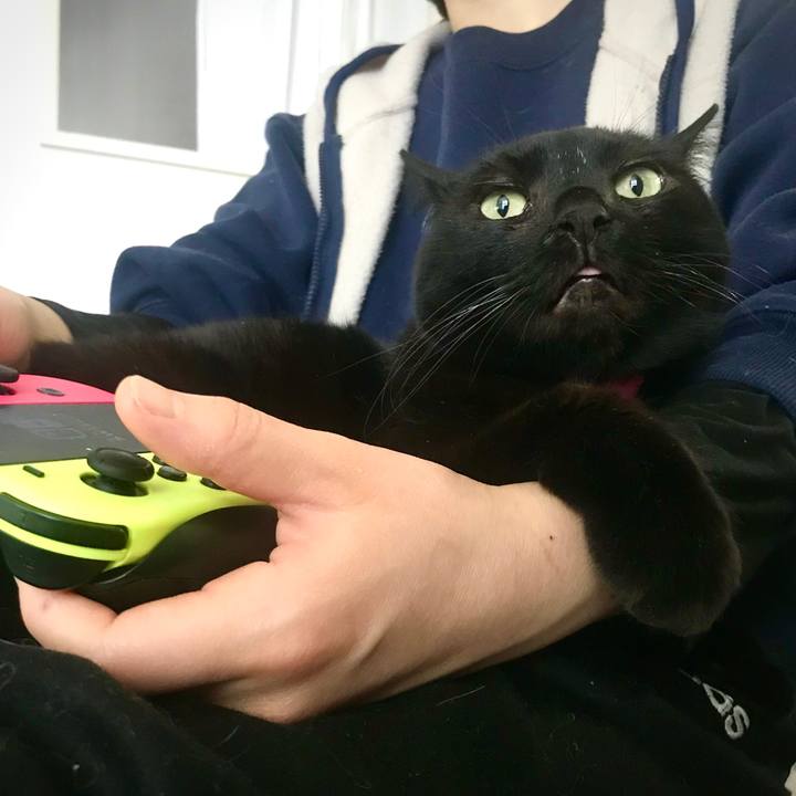 8b79d927 b3ae 4efc b735 b9a8a9e01923 1587625197132