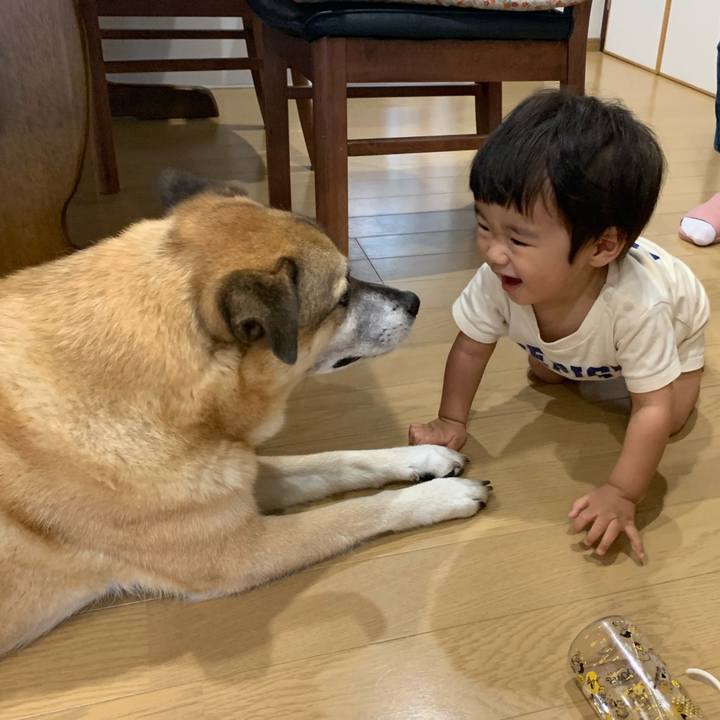 8b79e48d 9b19 4527 bbc9 b536b9f4f5df 1565433379261