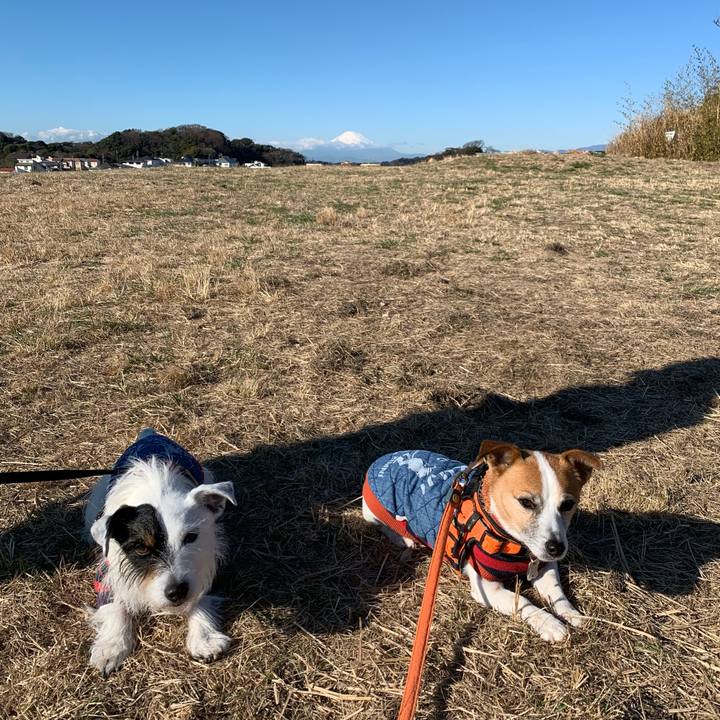 8b7a0d3c 540c 4b6a b831 a76b5b2ee512 1640658184072