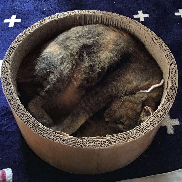 8b7a6608 e8a4 4cb7 8002 271de92c1f68 1736755404271