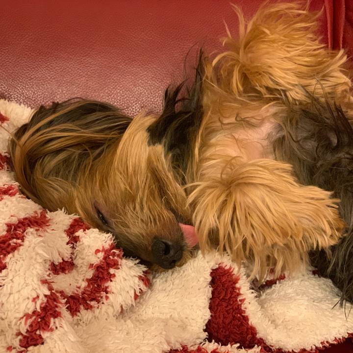 8b7aa74a 2ba3 44d0 91df c68d063db456 1555416235238